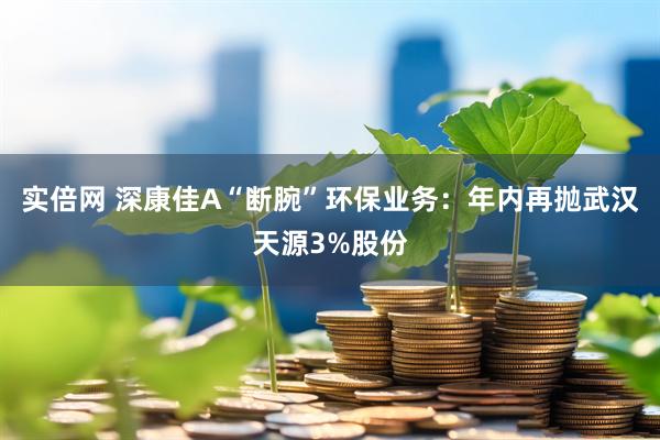 实倍网 深康佳A“断腕”环保业务：年内再抛武汉天源3%股份