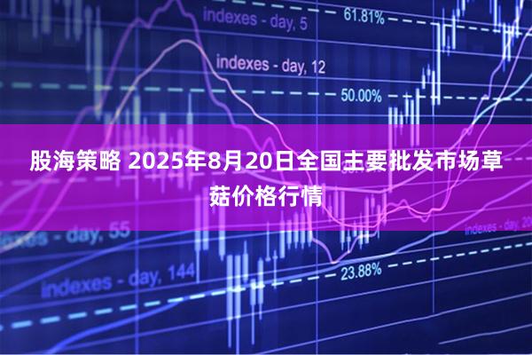股海策略 2025年8月20日全国主要批发市场草菇价格行情