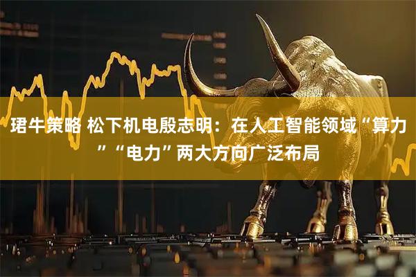 珺牛策略 松下机电殷志明：在人工智能领域“算力”“电力”两大方向广泛布局