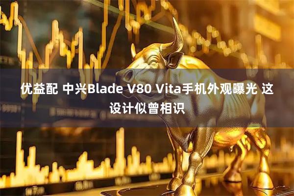 优益配 中兴Blade V80 Vita手机外观曝光 这设计似曾相识